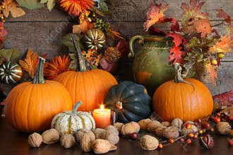 Still life harvest decoration for Thanksgiving