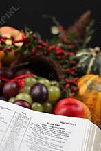 Thanksgiving Scripture and cornucopia
