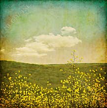 Vintage Flower Grunge