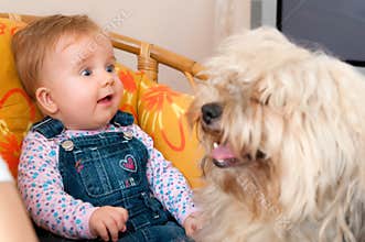 Baby girl with pet dog