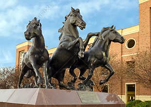`SMU Mustangs`, a bronze sculpture by artist Miley Frost ont he campus of Southern Methodist University in Dallas, Texas