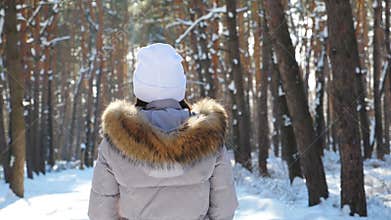 Back view of woman walking in sunny winter forest. Unrecognizable girl enjoying stroll through snowy wood raising her