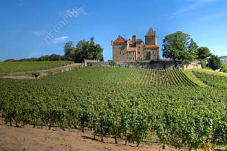 Chateau de Pierreclos, Burgundy, France