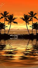 Tropical sunset