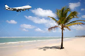 Plane and palm on beach