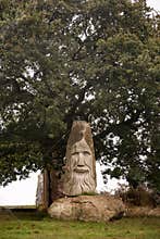 Granite statue of bearded man and tree