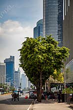 The balance between nature and modern building