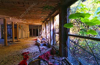 Nature Taking Over Abandoned Building