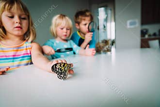 Kids study batterflies, doing rearch project for school