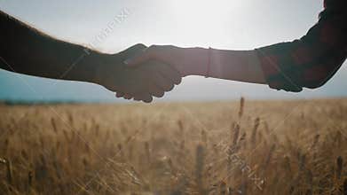 Farmers handshake over the wheat crop in harvest time. Partnership concept.