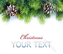 Christmas Tree Border