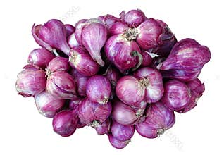 Group of Red Onion