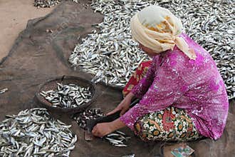 Cutting Small Fishes