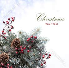 Christmas tree backgrounds
