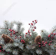 Christmas tree backgrounds