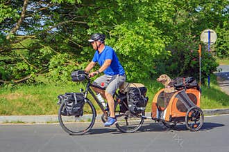 On vacation in a luggage cart behind the boss`s bike.