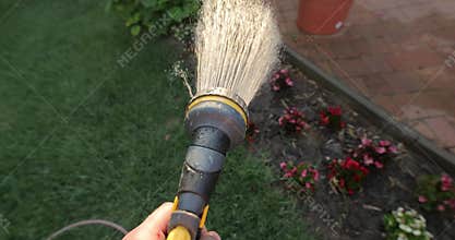 Watering plants in the garden