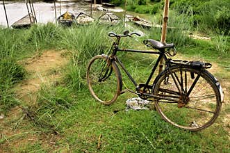 Cycle and landscape