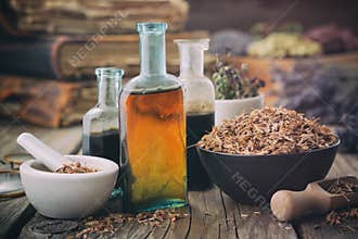 Dry oak bark in bowl, infusion or tincture bottles. Mortar and bowls of medicinal herbs and books on background. Herbal