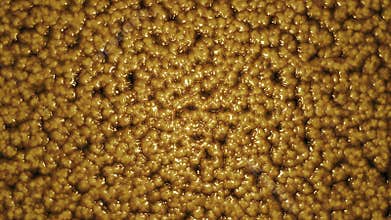 Abstract organic wet slime, biological matter background. Moving bacteria, cell