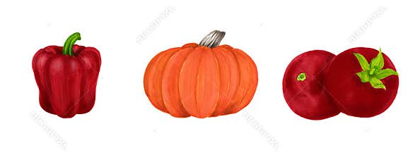 Set of realistic watercolor illustration of juicy vegetables isolated on white background. Organic food icon. Healthy