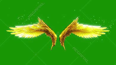 Flapping Gold Wings Particles Loop