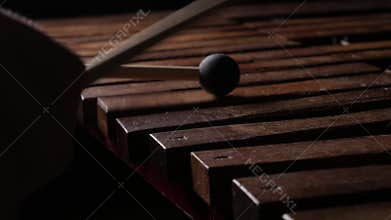 Musician play xylophone or marimba