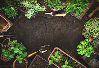 Gardening background with garden tolls