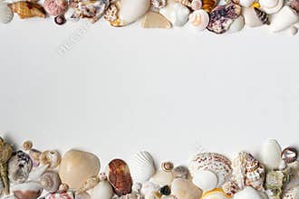 Summer borders from sea shells on white paper background with space for notes, quotes, message. Creative template frames