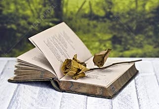 Withered rose on book