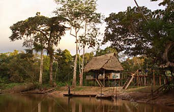 Posa Gloria amazon jungle hut in Pacaya-Samiria