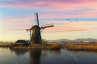 Geese flying over sunrise on the frozen windmills alignment