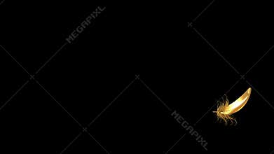 4K. Flying Golden Feather On Black Background. Seamless Looping.