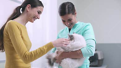 Vet and owner cuddling a cat at the clinic