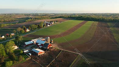 Aerial view of american countryside landscape. Farm, red barn, cows. Rural scenery, farmland. Sunny morning, spring summer season
