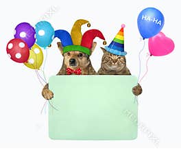 Dog with cat with blank poster 2