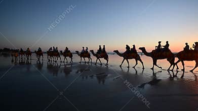 Silhouette of tourists on camel ride convoy on Cable Beach Broome Western Australia 01