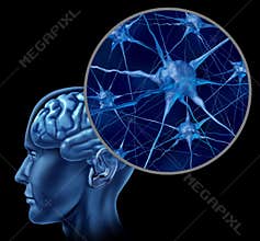 Human brain with close up of active neurons