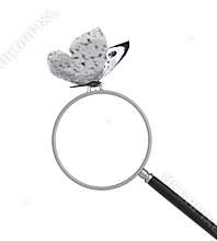 a butterfly sitting on a magnifying glass