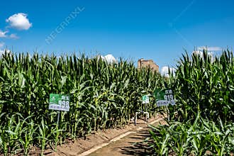Scene of the plant exhibition area of the 19th China Changchun International Agriculture•Food Expo Trade