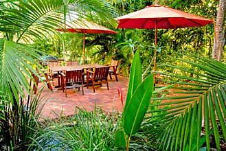 Tropical backyard garden setting
