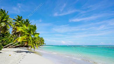 Travel to Cuba beach. Palm beach and clear wave turquoise sea landscape. Relax on the beach with palm forest and azure heaven.