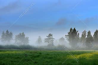 Misty foggy sunrise in summer