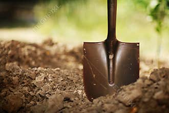 Shovel in soil