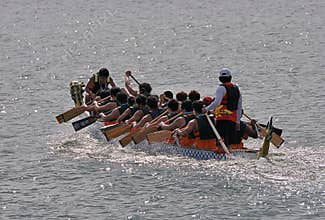 Intense Dragon Boat Paddling