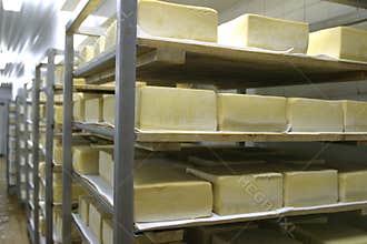 Cheese storage in dairy