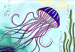 Jellyfish from the deep sea