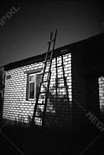 The ladder