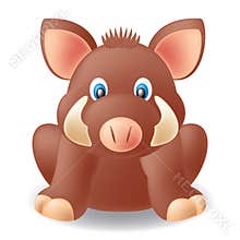 Wild Boar