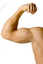 Male flexed arm